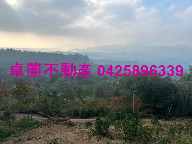 大湖農地-12
