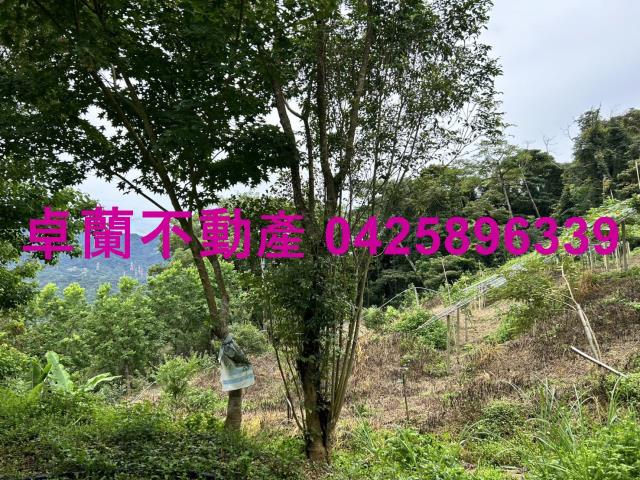 大湖農地-13