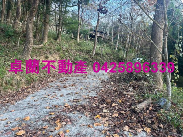 大湖山坡地-2