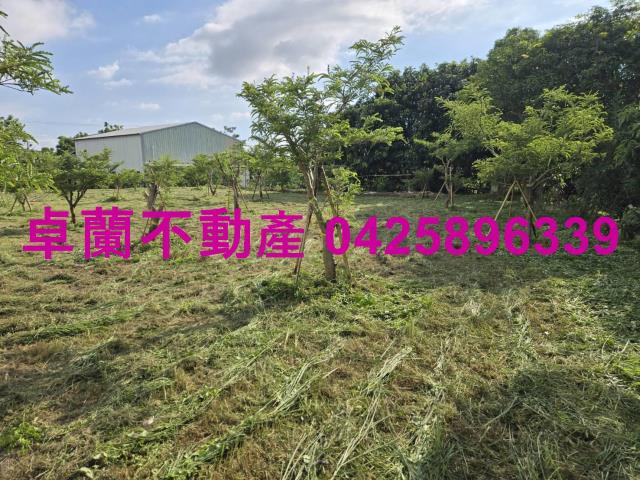 后里農地-9