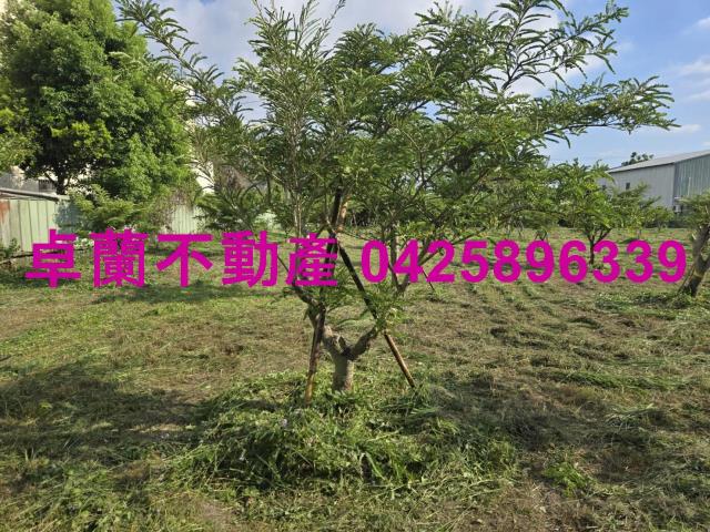 后里農地-10