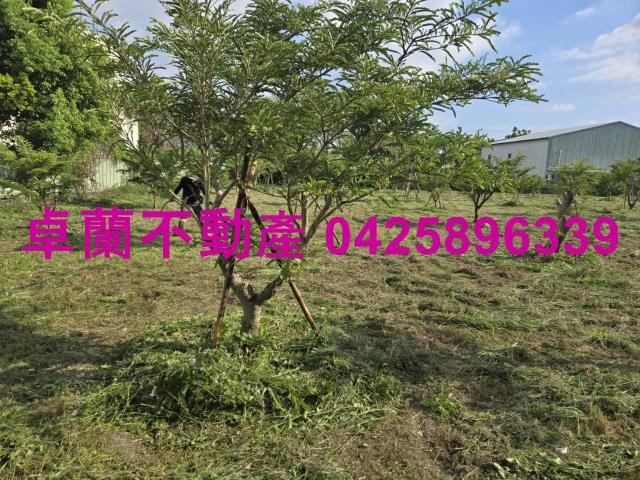 后里農地-11