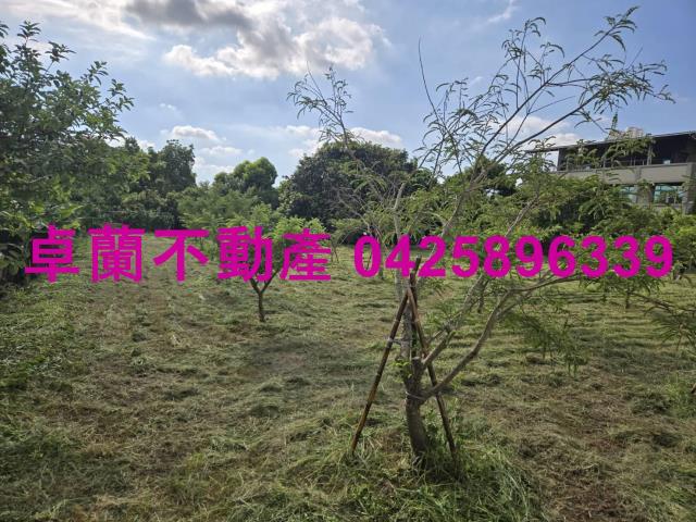 后里農地-1