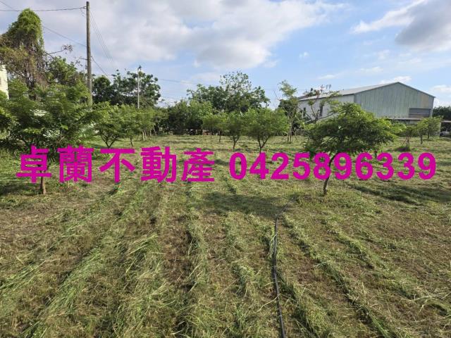 后里農地-3