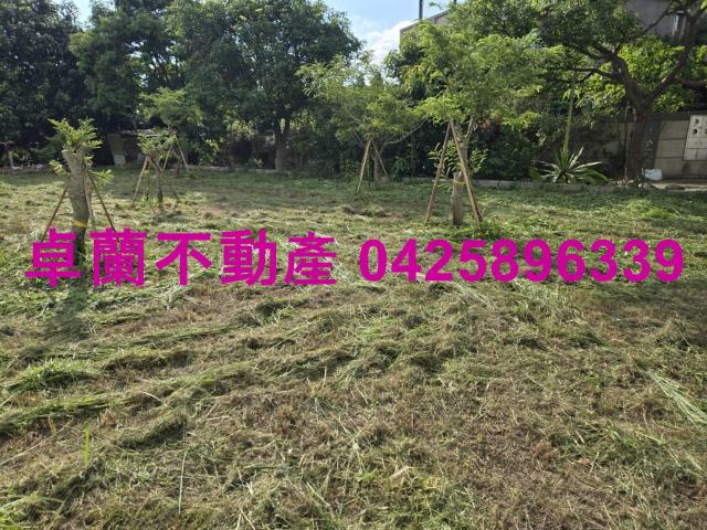 后里農地-4