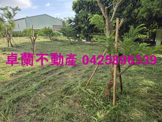 后里農地-5