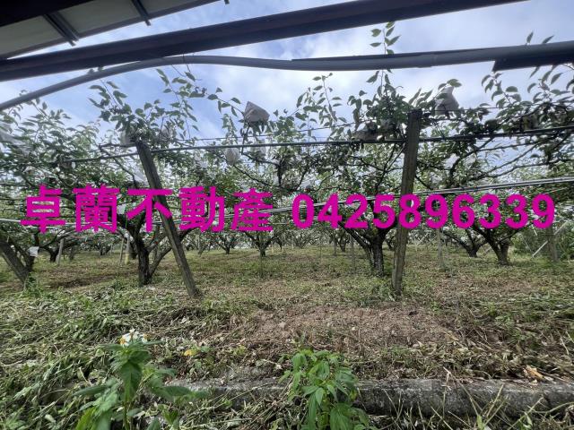 苗栗農地-5