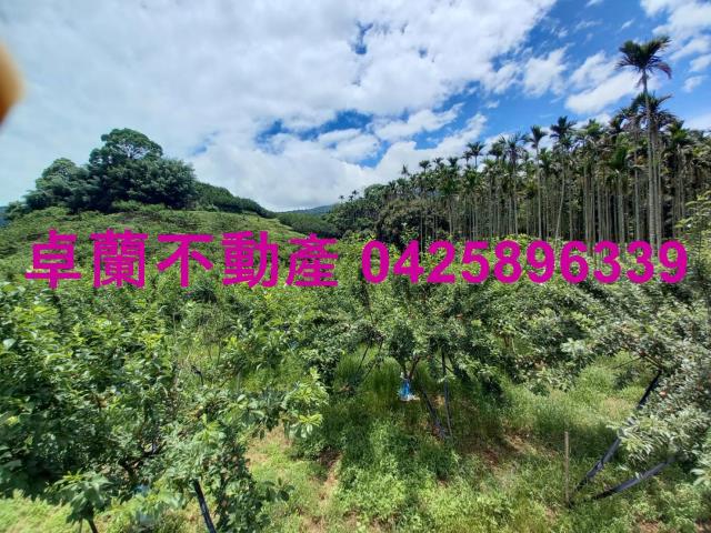 苗栗農地-8