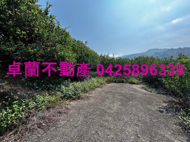 苗栗農地-1