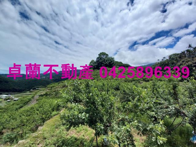 苗栗農地-9