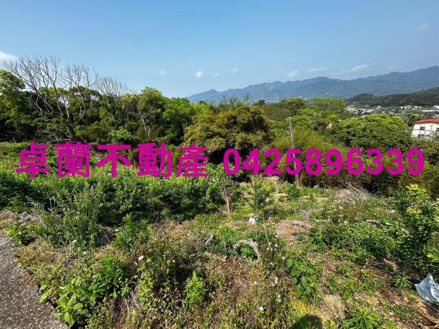 苗栗農地-3
