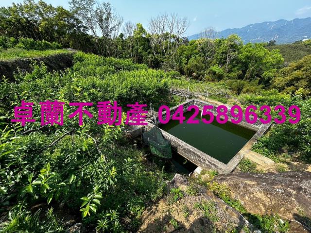 苗栗農地-4