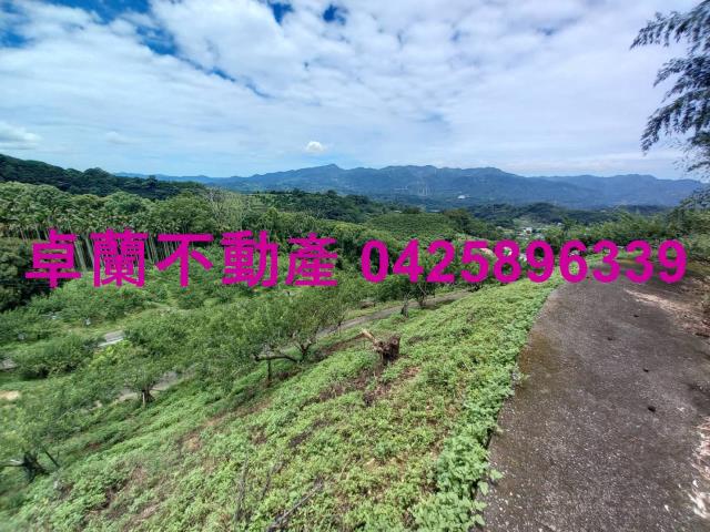 苗栗農地-13