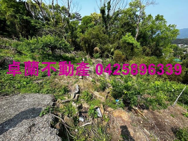 苗栗農地-6