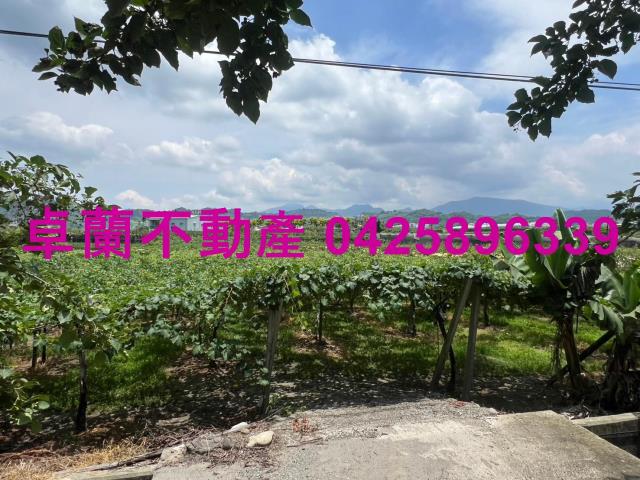 苗栗卓蘭農地-4