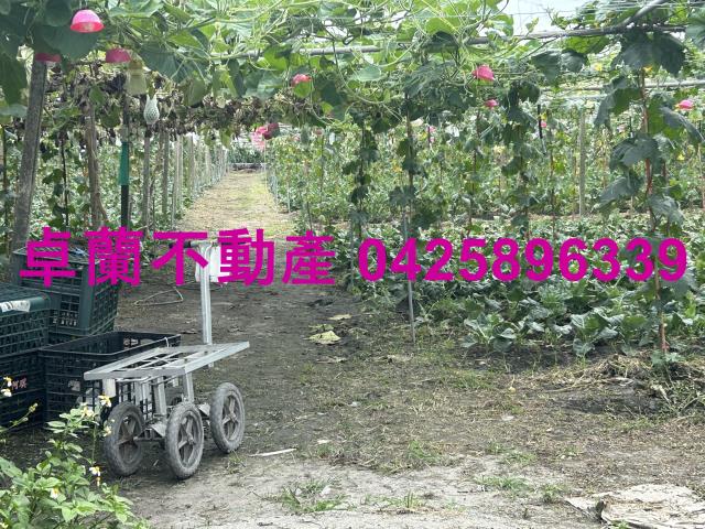 苗栗卓蘭農地-0