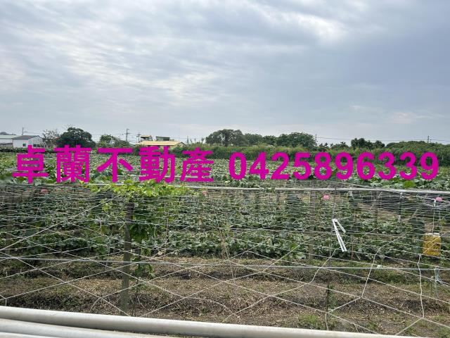 苗栗卓蘭農地-3