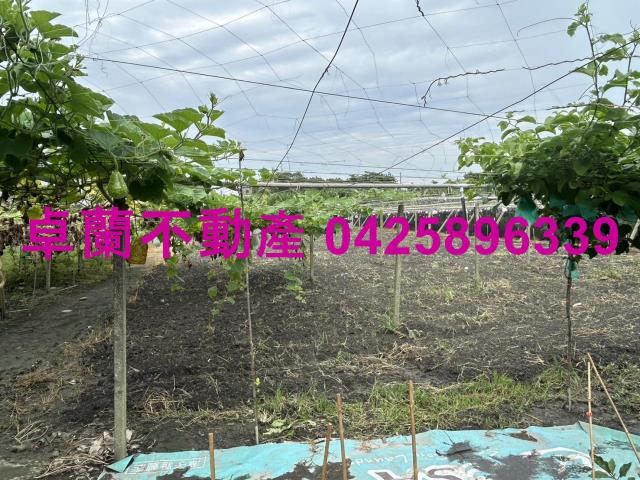 苗栗卓蘭農地-7