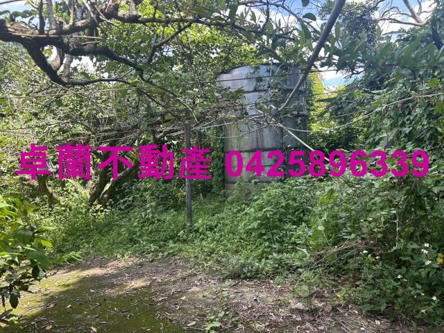 卓蘭農地-1