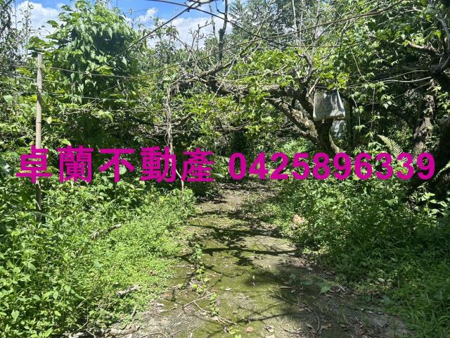 卓蘭農地-3