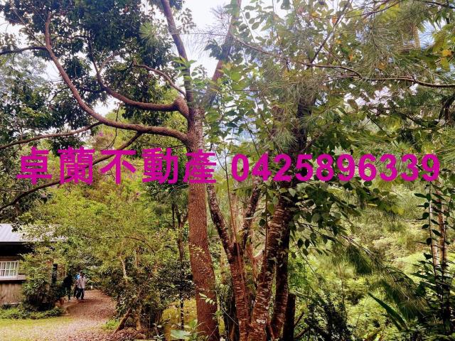 苗栗大湖農地-9