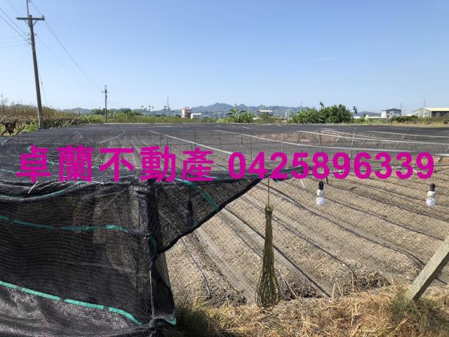卓蘭農地-1