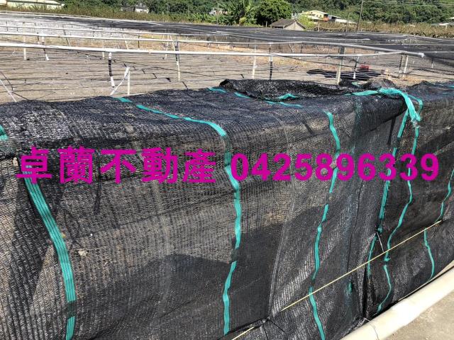 卓蘭農地-2