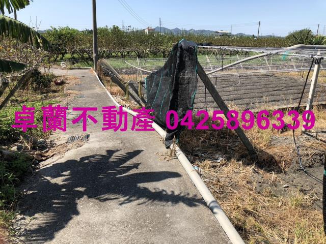 卓蘭農地-3