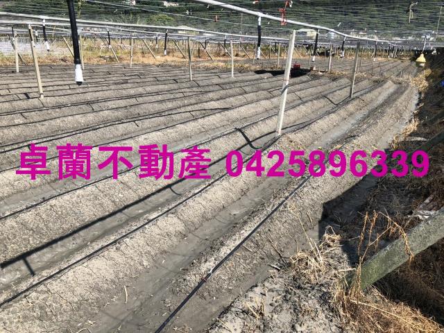 卓蘭農地-4
