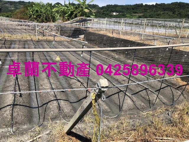 卓蘭農地-5
