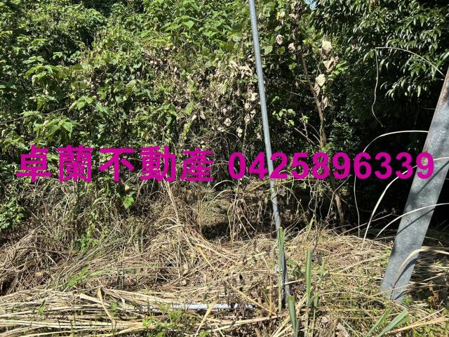 卓蘭農地-9