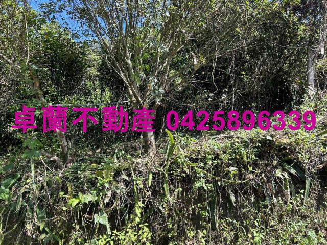 卓蘭農地-10