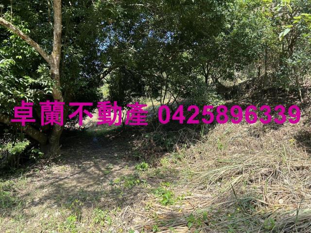 卓蘭農地-11