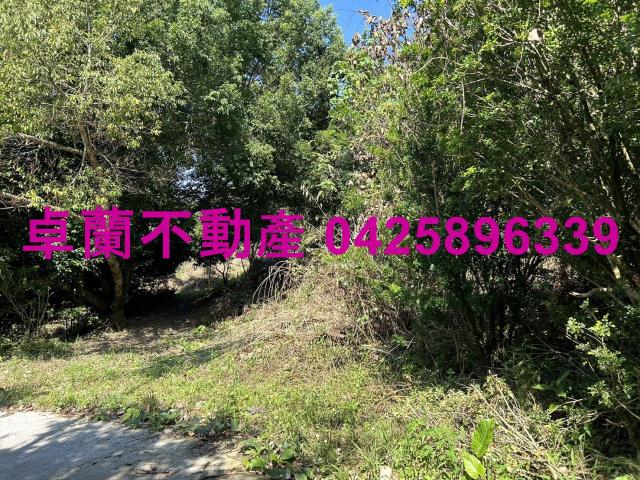 卓蘭農地-6