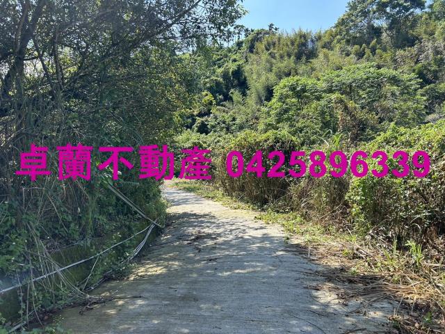 卓蘭農地-8