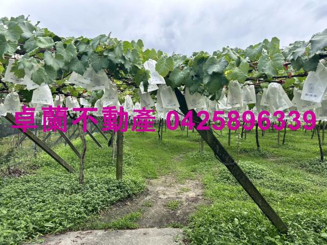 卓蘭農地-2