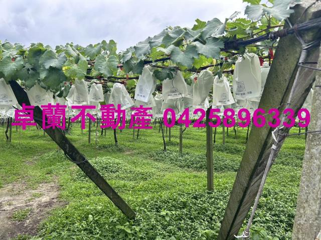卓蘭農地-3