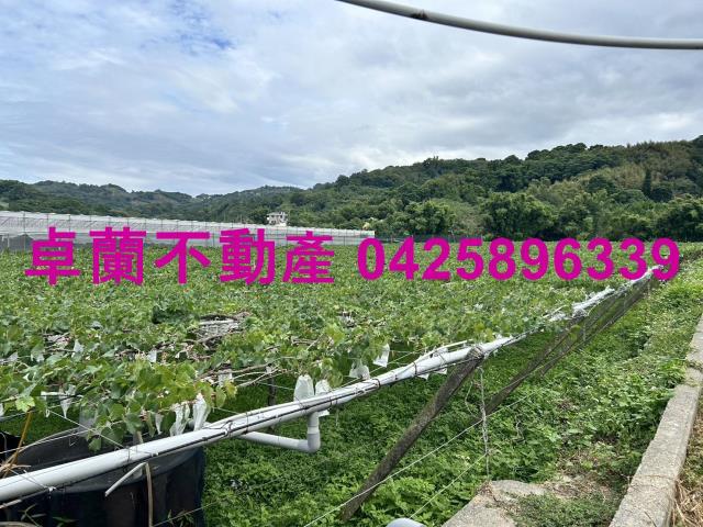 卓蘭農地-4