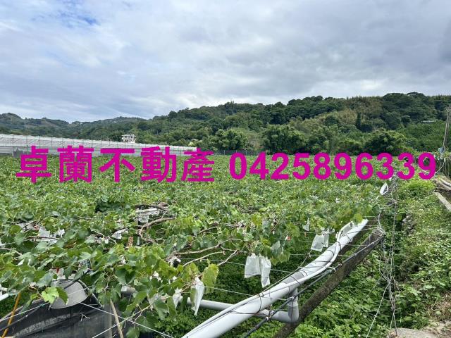 卓蘭農地-5