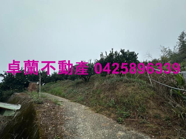 卓蘭農地-9