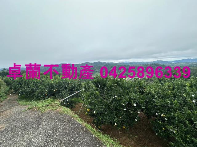 卓蘭農地-2
