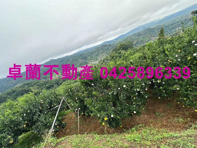 卓蘭農地-4