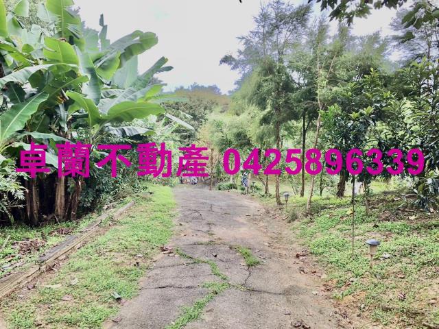 苗栗卓蘭農地-11