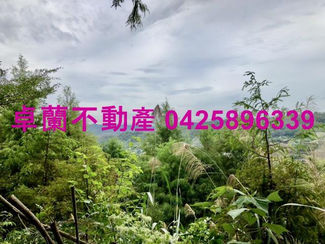 苗栗卓蘭農地-0