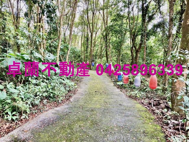 苗栗卓蘭農地-5