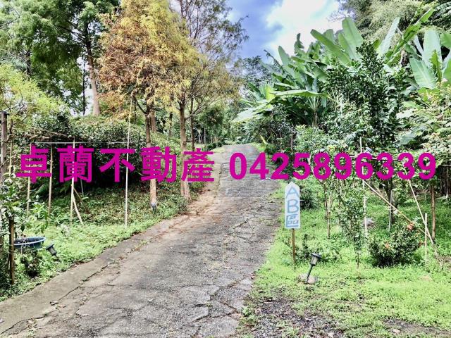苗栗卓蘭農地-7