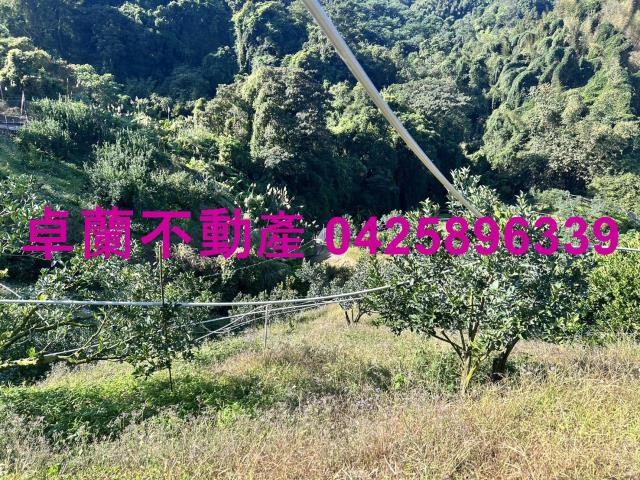 卓蘭農地-0