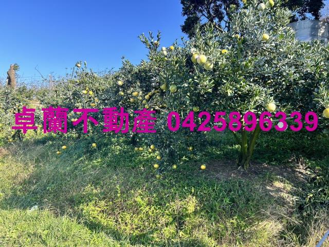 卓蘭農地-2