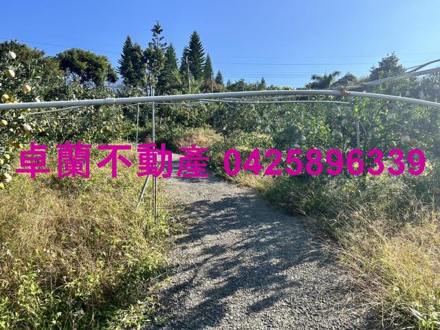卓蘭農地-5