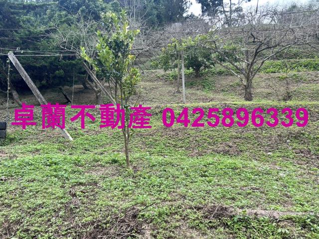 卓蘭農地-9